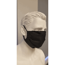 Hudson 3-Ply Face Mask (ATAC)