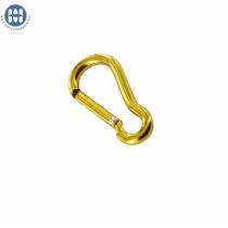Gold Carabiner